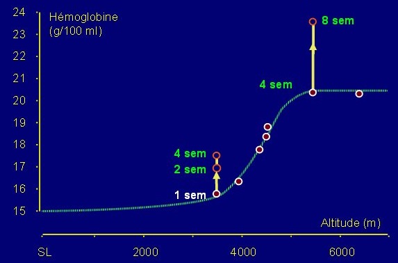Hémoglobine en fonction de l'altitude