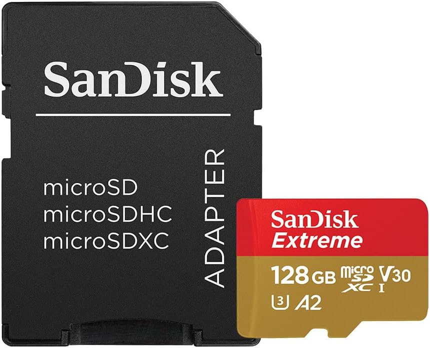 carte microSD
