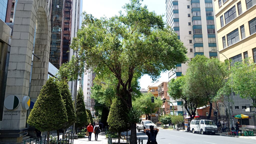 la_paz