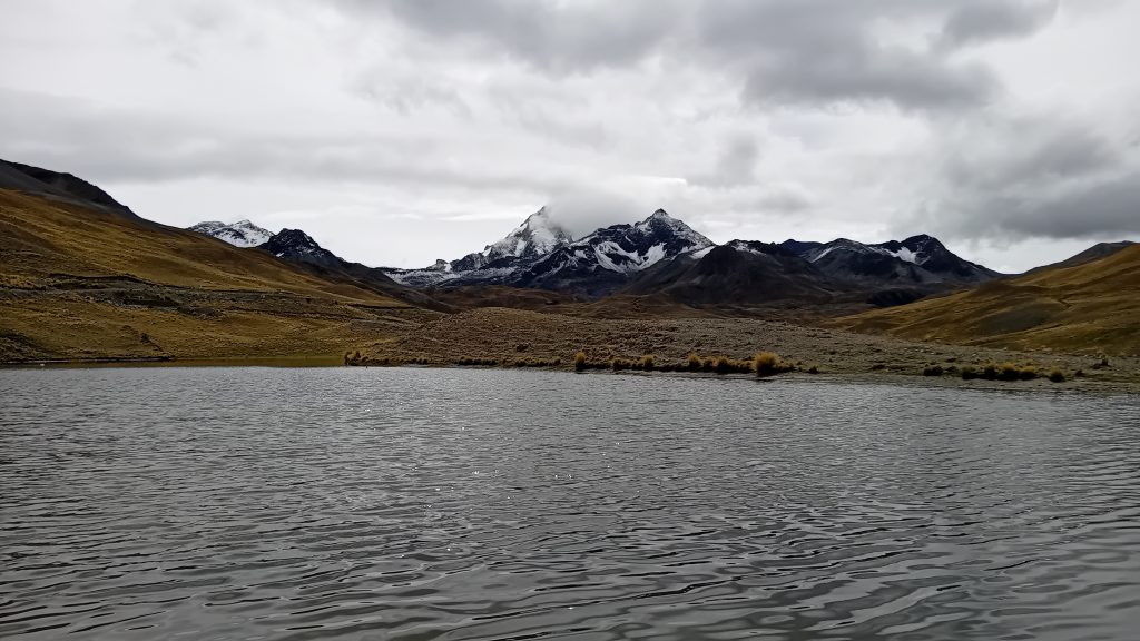Montana_negra