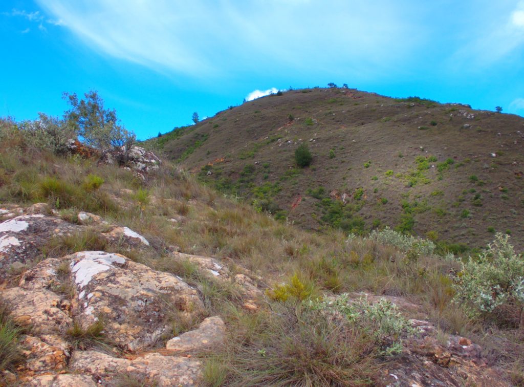 Mirador_Patria