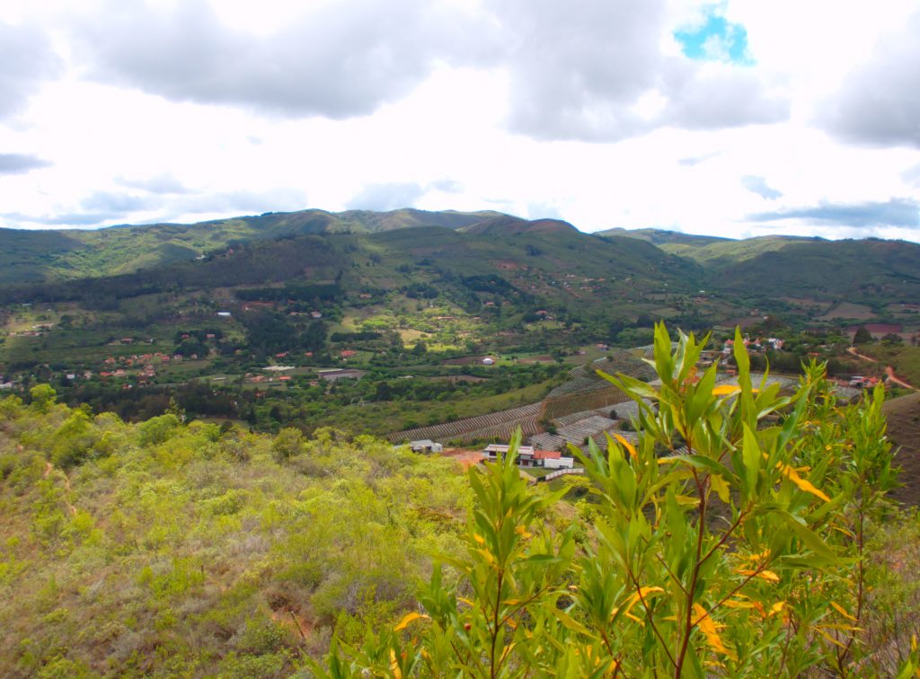 Mirador_Patria