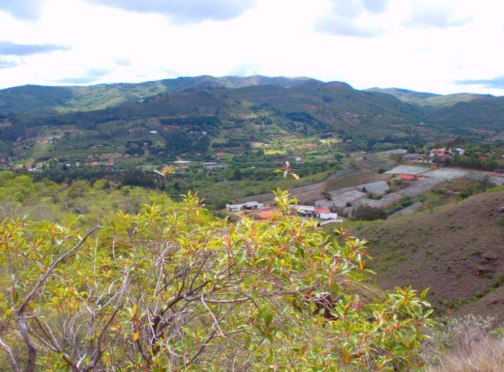 Mirador_Patria