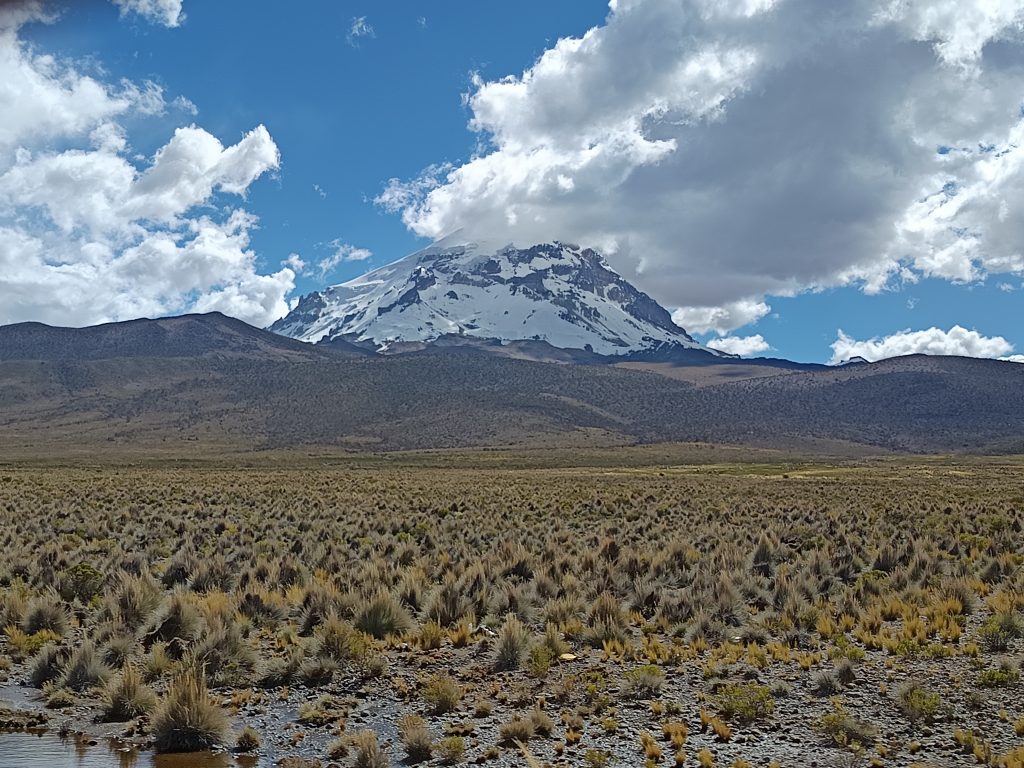Sajama_7