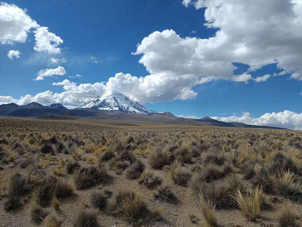 Sajama_9