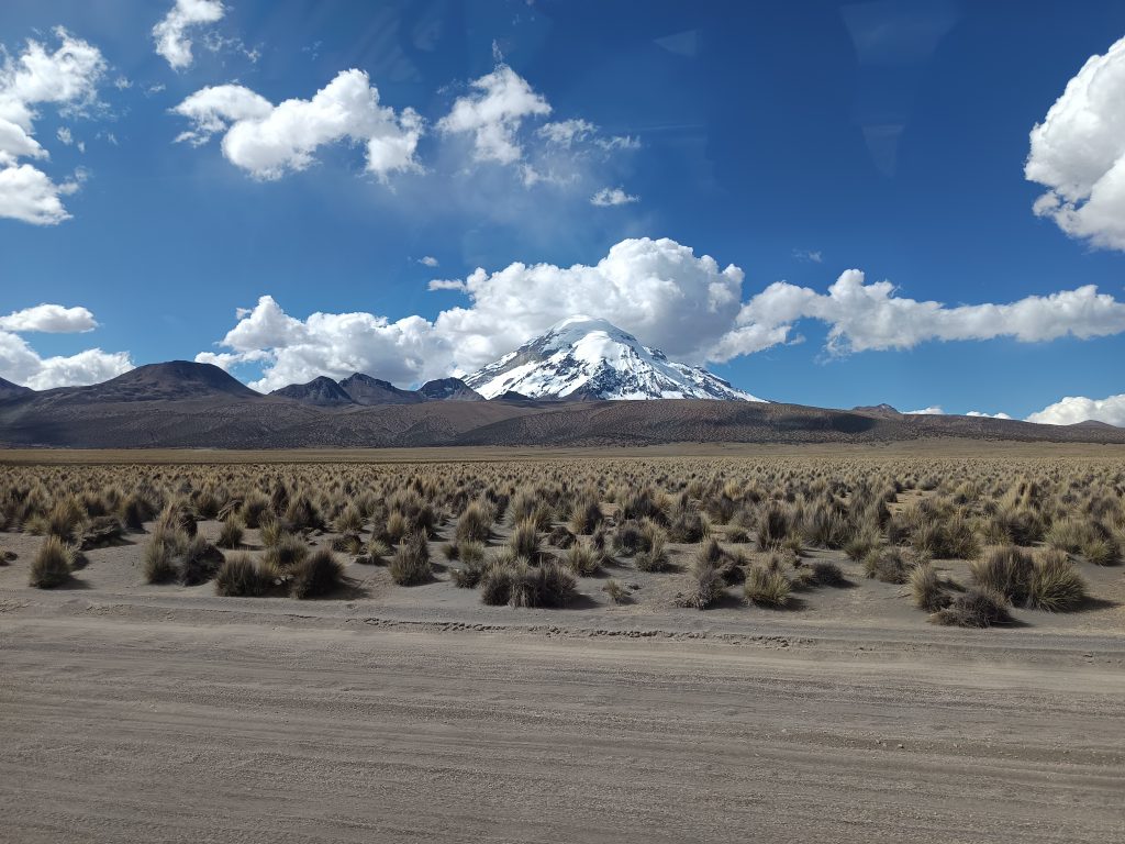 Sajama_10