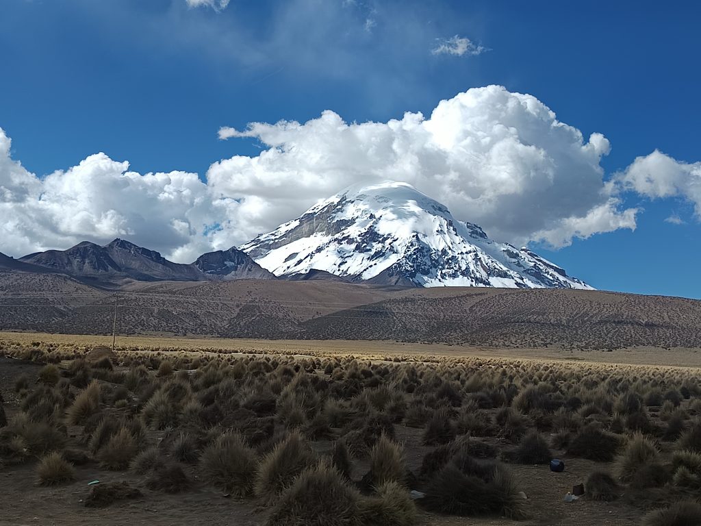 Sajama_11